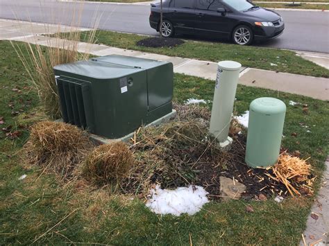 green utility box in yard